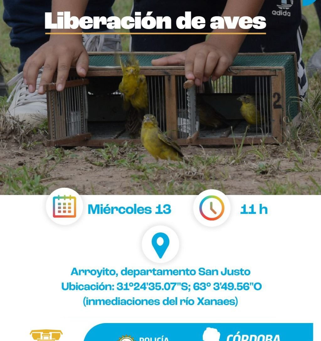 POLICÍA AMBIENTAL LIBERARÁ 54 AVES SILVESTRES