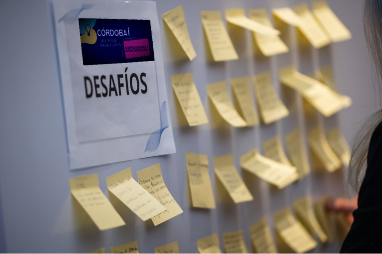 16 EMPRESAS SE SUMAN AL DESAFÍO CÓRDOBA I “DISEÑO Y NUEVAS TECNOLOGÍAS”