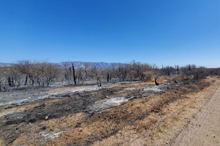 NO HABRÍA FOCOS DE INCENDIO ACTIVOS EN LA PROVINCIA
