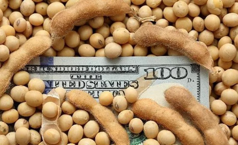 EL APORTE DE DÓLARES DEL AGRO SE DESPLOMÓ UN 74% EN FEBRERO