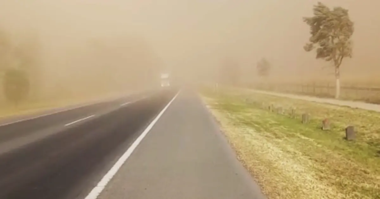 ALERTA METEOROLÓGICA POR VIENTOS INTENSOS EN LA PROVINCIA
