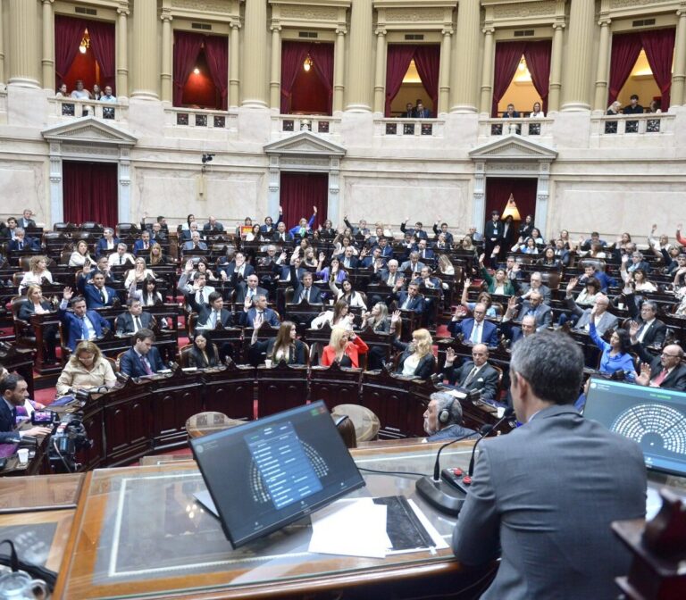 COMENZÓ A TRATARSE LA LEY ÓMNIBUS EN LA CÁMARA BAJA DEL CONGRESO