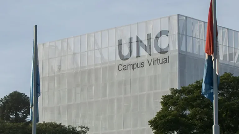 LAS ACTIVIDADES QUE SE DESARROLLARÁN EN LA MARCHA FEDERAL UNIVERSITARIA