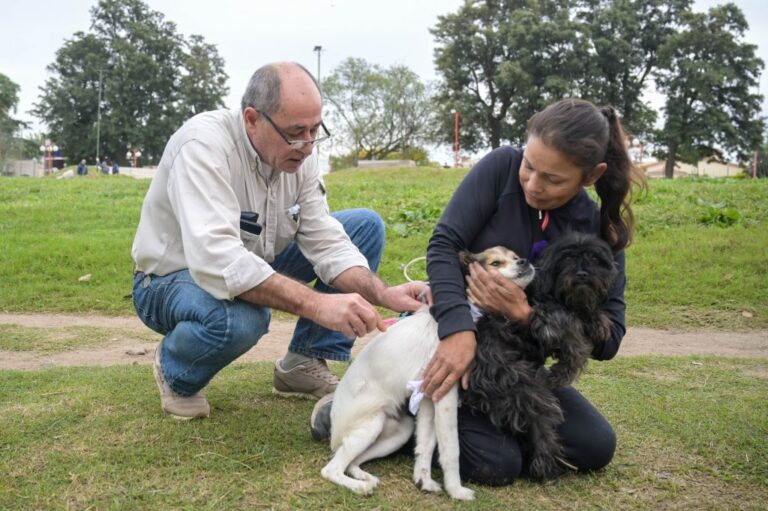 MÁS DE 500 ANIMALES RECIBIERON LA VACUNACIÓN ANTIRRÁBICA