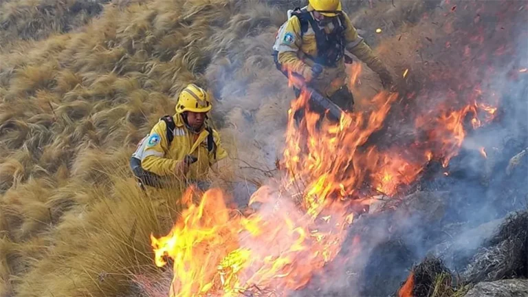 CÓRDOBA: MÁS DE 3.500 HECTÁREAS SON ARRASADAS POR EL FUEGO