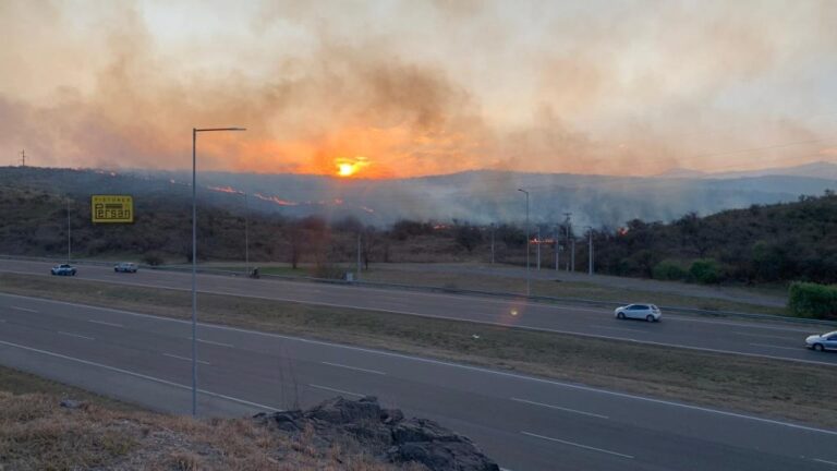 BOMBEROS VOLUNTARIOS COMBATEN UN INCENDIO FORESTAL ENTRE LA CALERA Y MALAGUEÑO