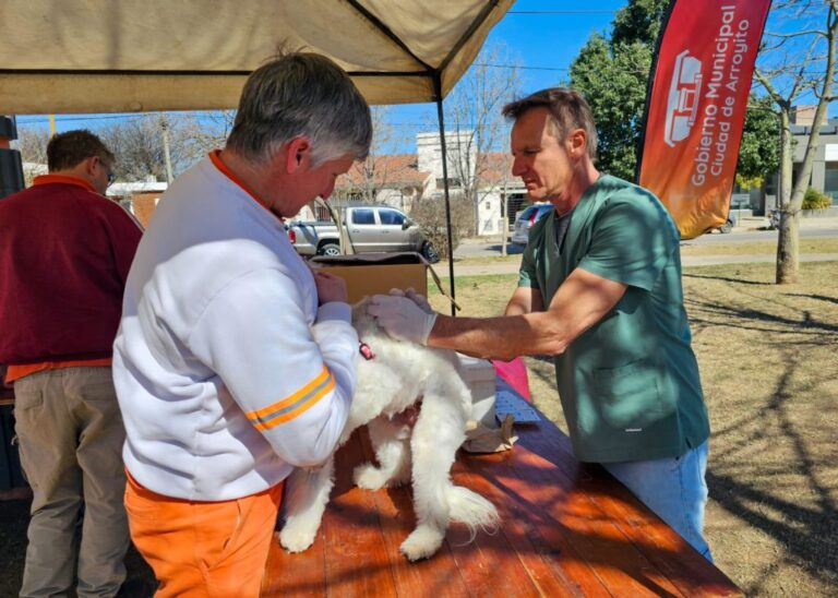 CONTINÚA ACTIVA LA CAMPAÑA DE VACUNACIÓN ANTIRRÁBICA